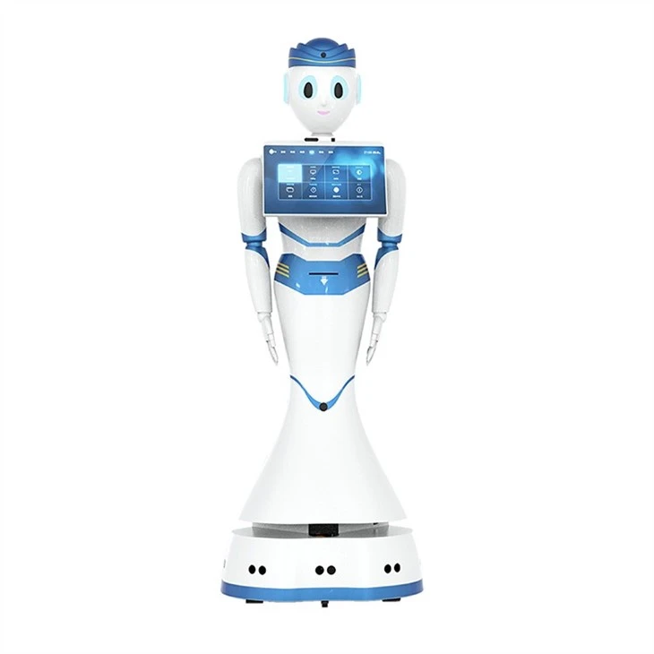 Humanoid Service Robot